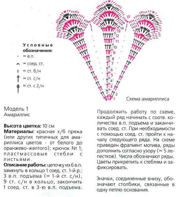 схема вязания амариллиса